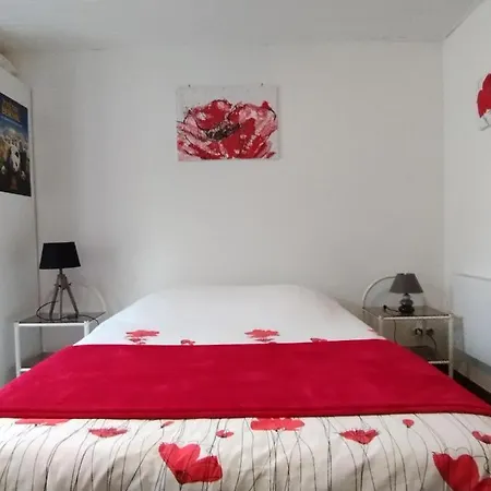 Studio Les coquelicots Saint-Romain-sur-Cher Extérieur photo